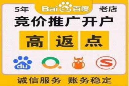 百度网络推广实战技巧：案例解析，让广告投放更精准